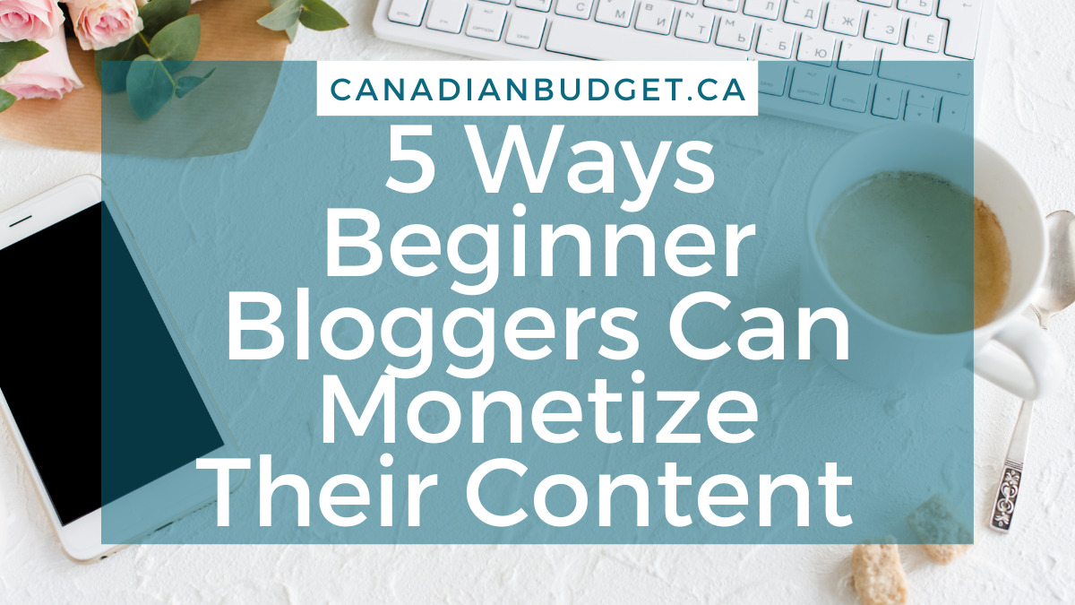 Beginner blogger and nano influencer