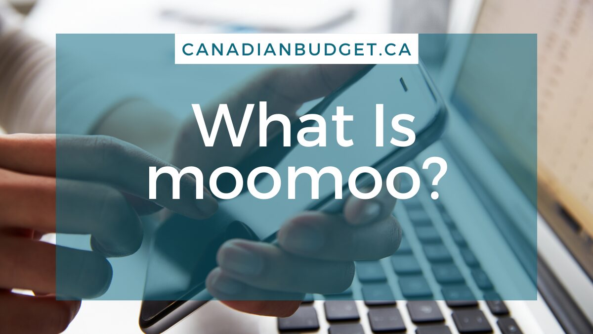 what is moomoo trading